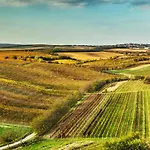 Сasa de vacaciones Vinný Sklep Vinoza Velké Bílovice