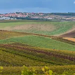 Vinný Sklep Vinoza Сasa de vacaciones Velké Bílovice