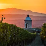 Сasa de vacaciones Vinný Sklep Vinoza