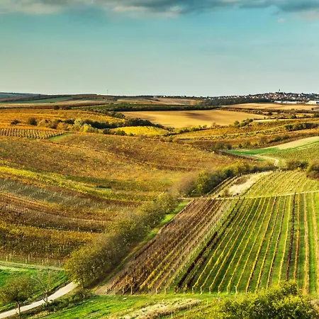 Ferienhaus Vinoza - A Vinny Sklep Rulandova Velké Bílovice
