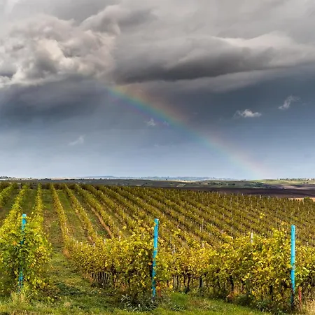 Ferienhaus Vinoza - A Vinny Sklep Rulandova