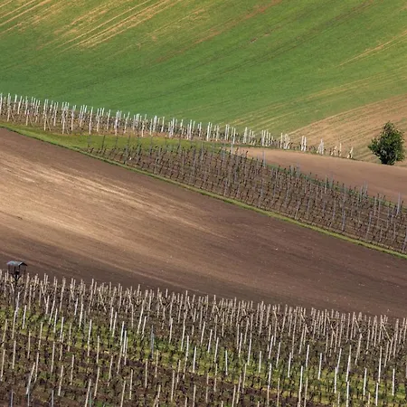Ferienhaus Vinoza - A Vinny Sklep Rulandova *