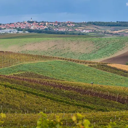 Vinoza - A Vinny Sklep Rulandova Ferienhaus Velké Bílovice