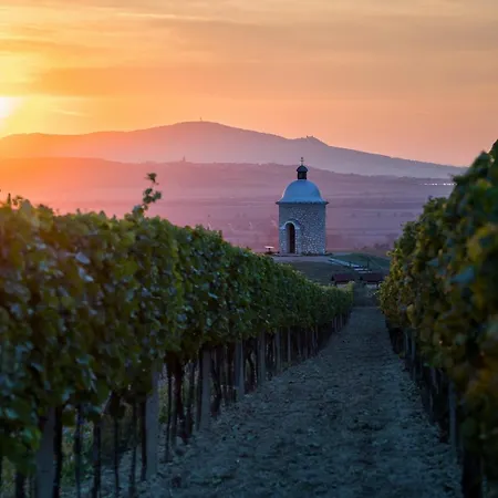 Ferienhaus Vinoza - A Vinny Sklep Rulandova